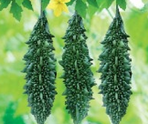 করলা