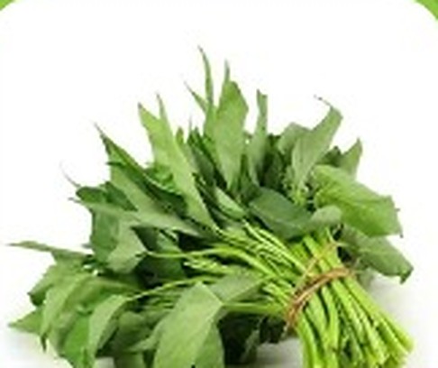 কলমি শাক